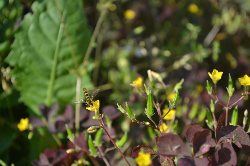 Photograph by Камила Борисоглебская