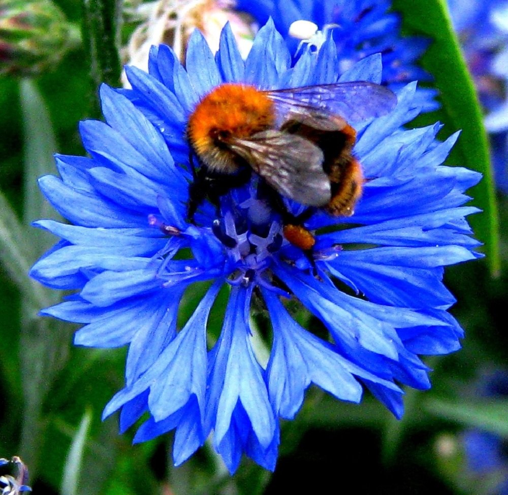 Photograph by Мария Арькова