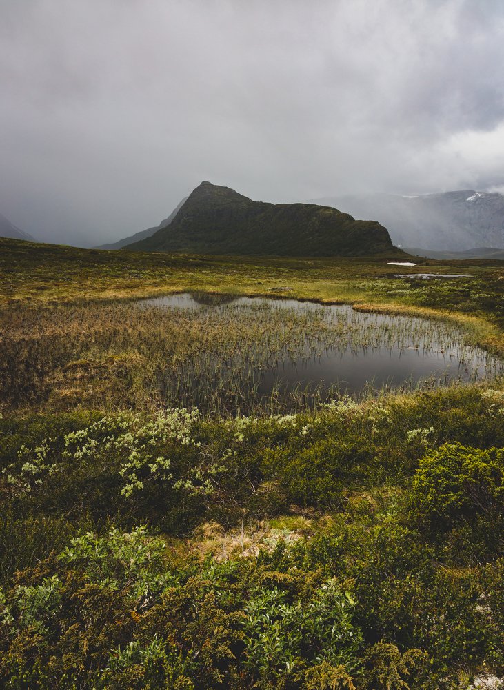 Photograph by Nikolai Mihhailov