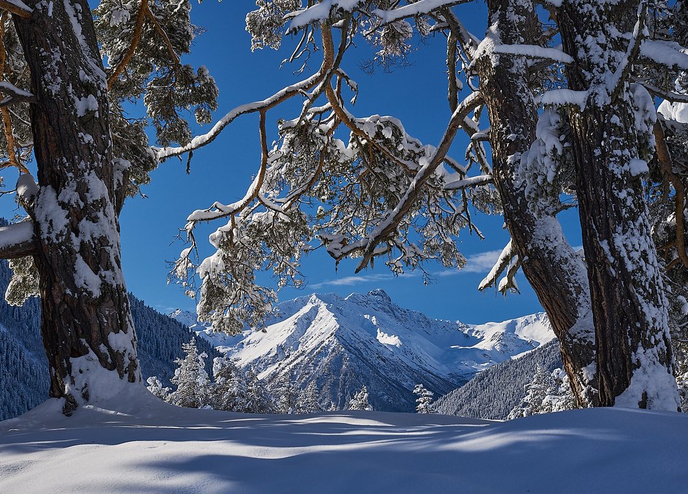 Photograph by Aleksandr Chekhonin