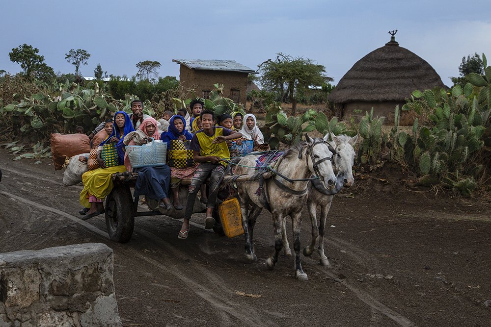 Photograph by Amal Alameer