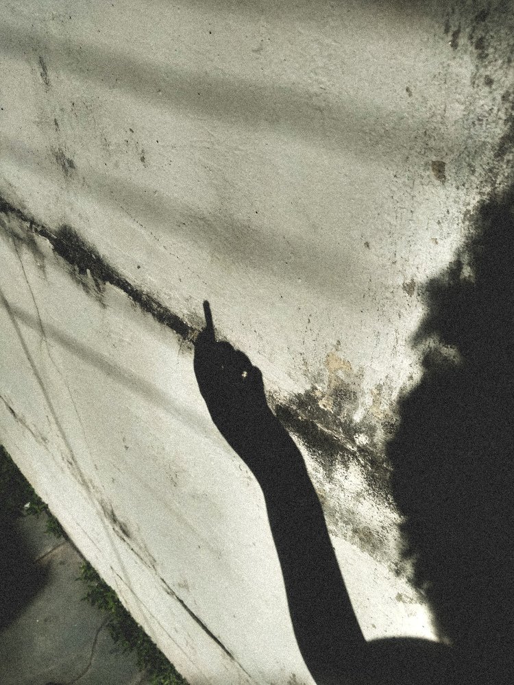 Photo #4911501