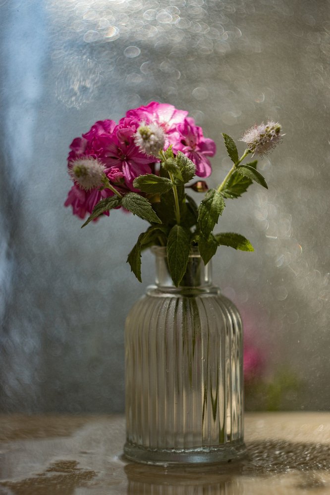 Photograph by Александр Чухланцев