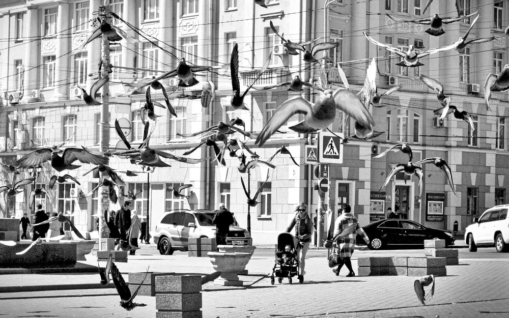 Photograph by Армен Арутюнов