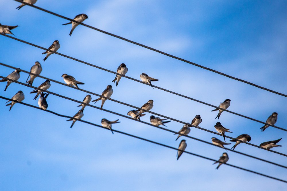 Photograph by Ferdinand Debnárik