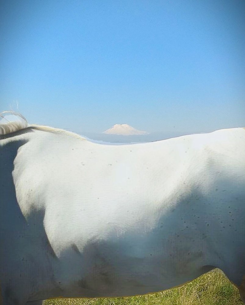 Photograph by Магомед Кумыков