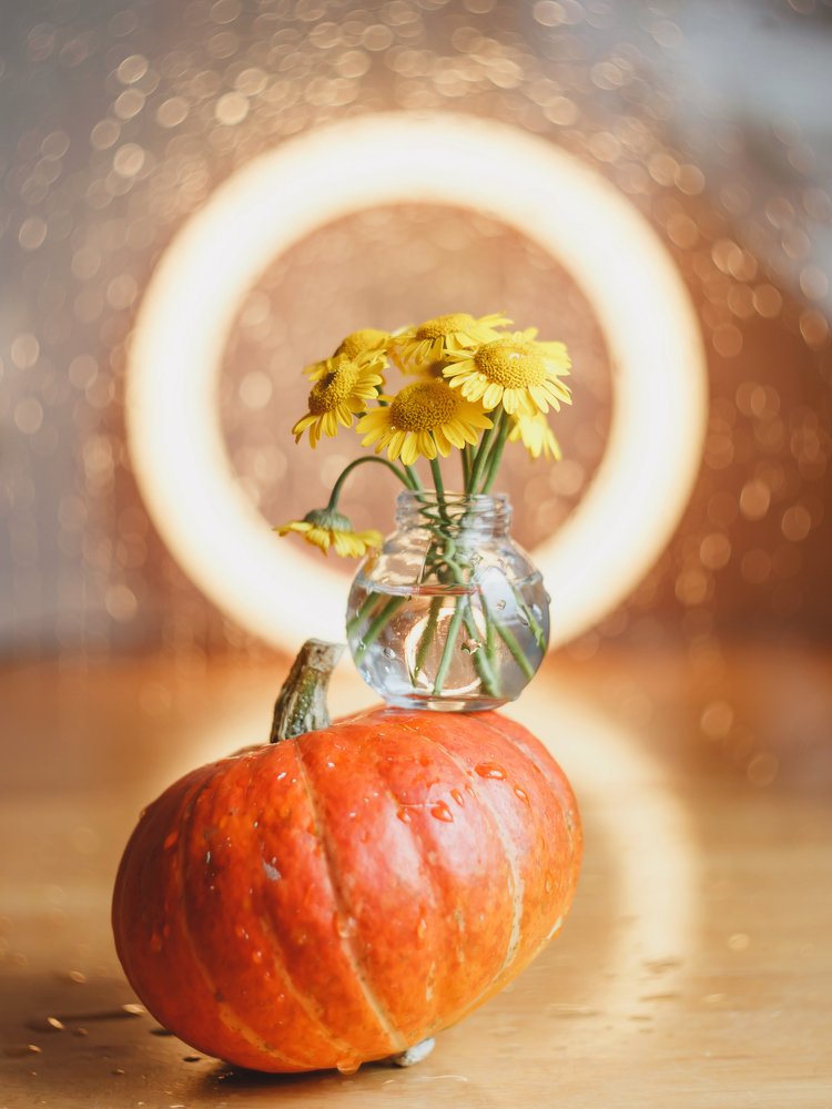 Photograph by Kristina Shlimovich