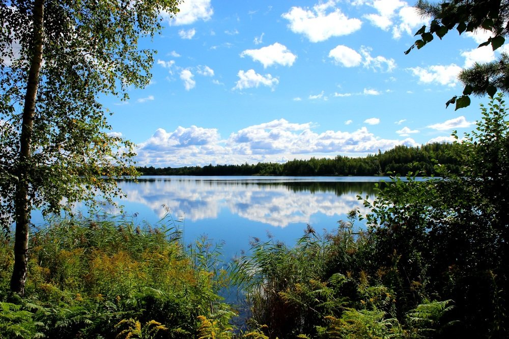 Photograph by Илона Шпака