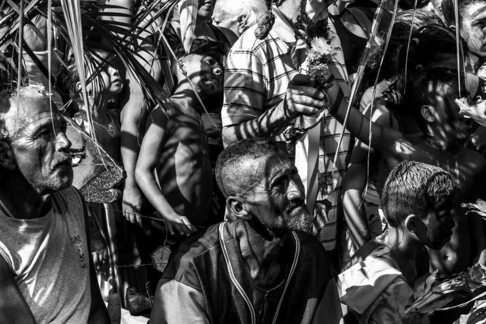 The burial of the sardine