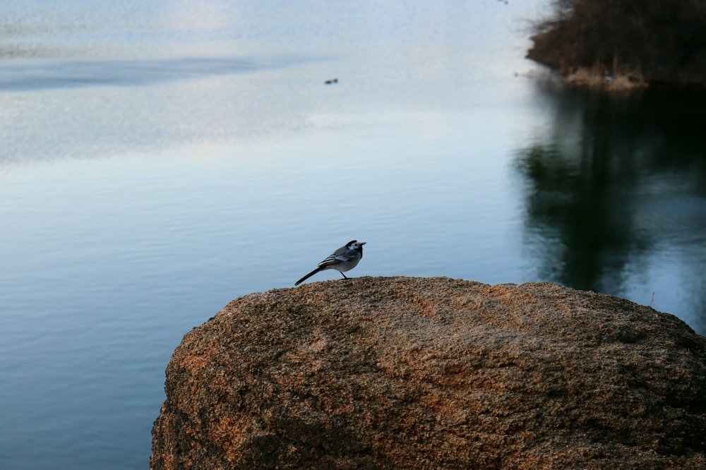 Photograph by Татьяна Котельникова