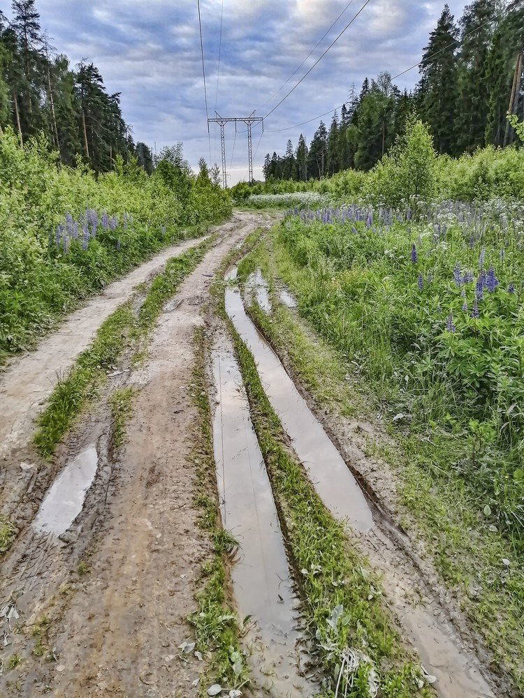 Photograph by Александр Викторович