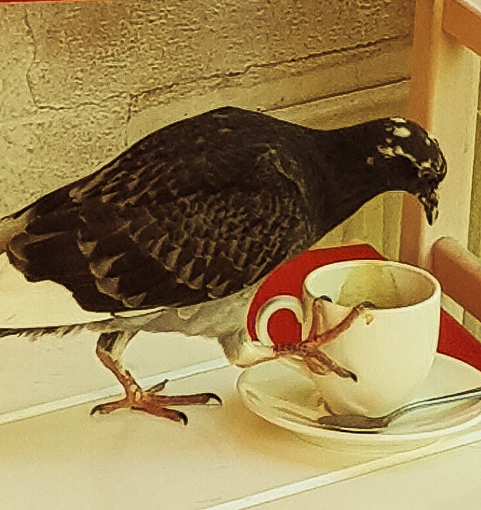 Photograph by Alexia Vlada