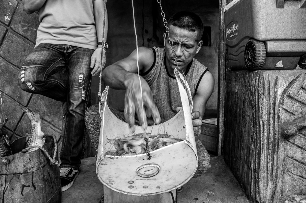 Photograph by Anthony Camargo