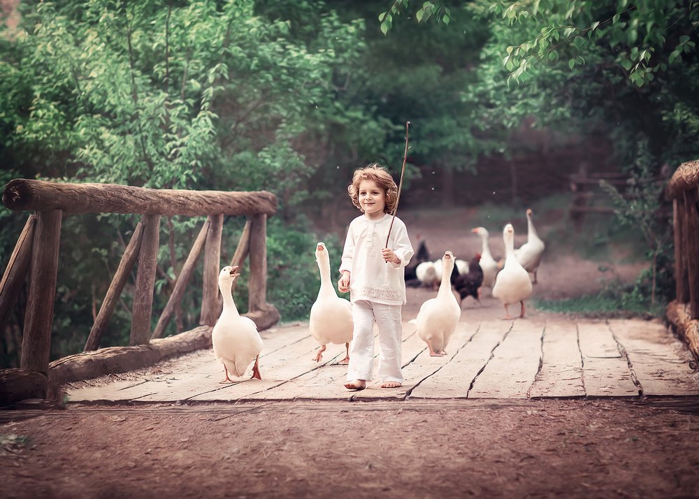 Мартин и гуси