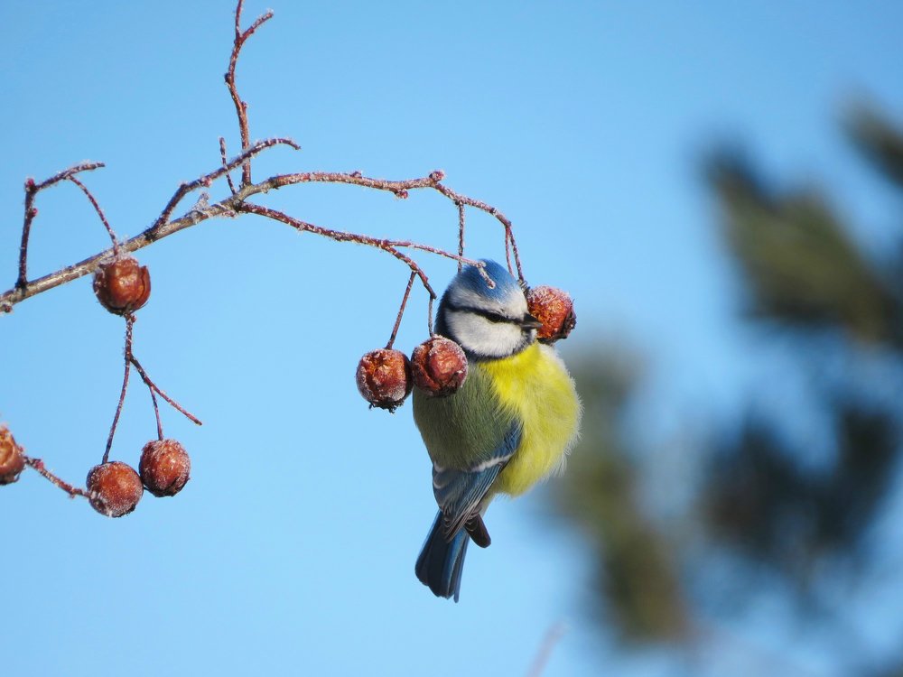 Photograph by Анна Азарёнок
