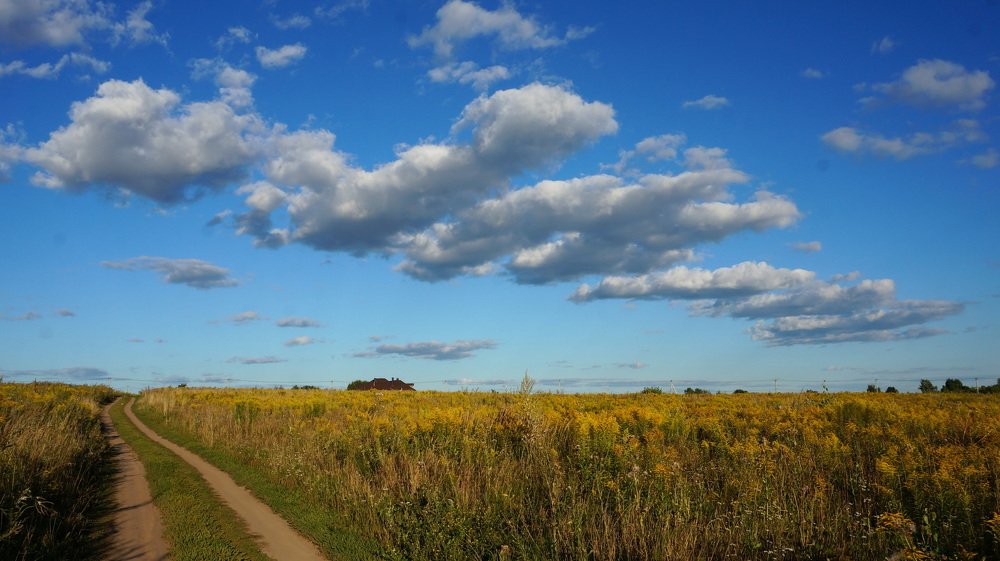 Дорога на Сартаково