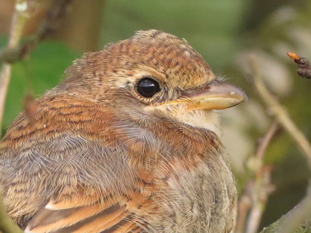 Photograph by Анна Азарёнок