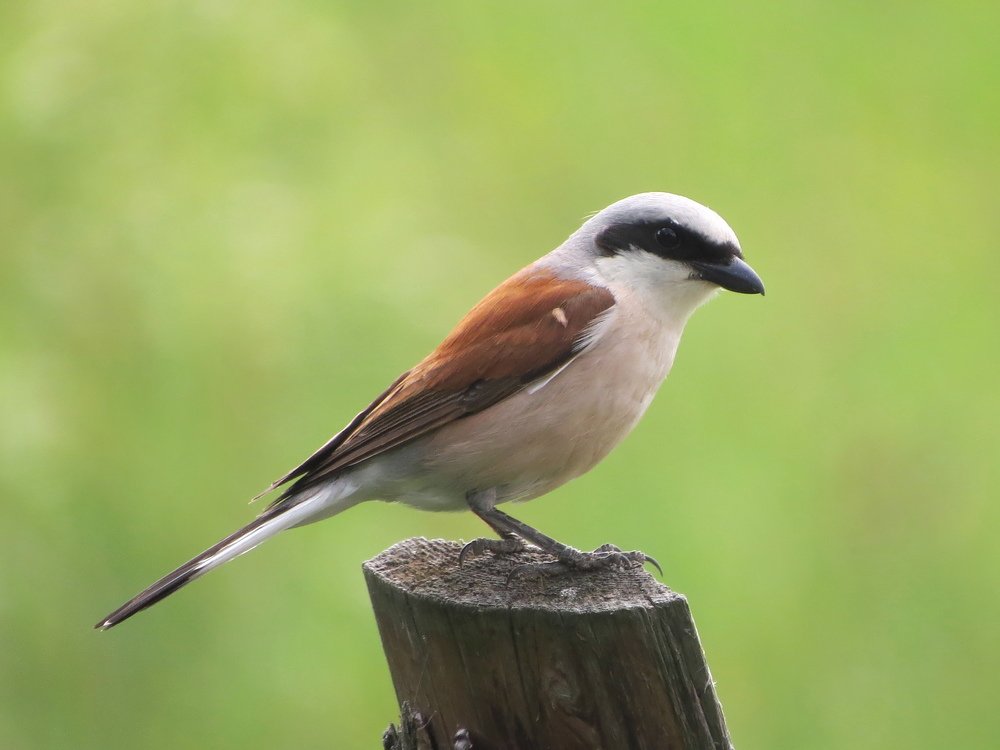 Photograph by Анна Азарёнок