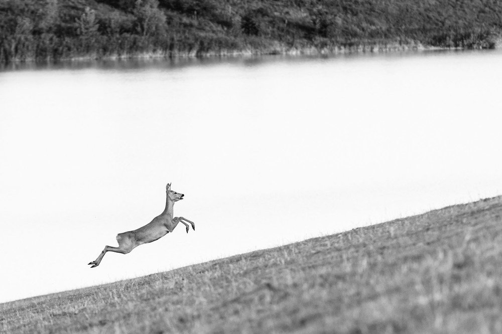 Photograph by Simona Grigorescu