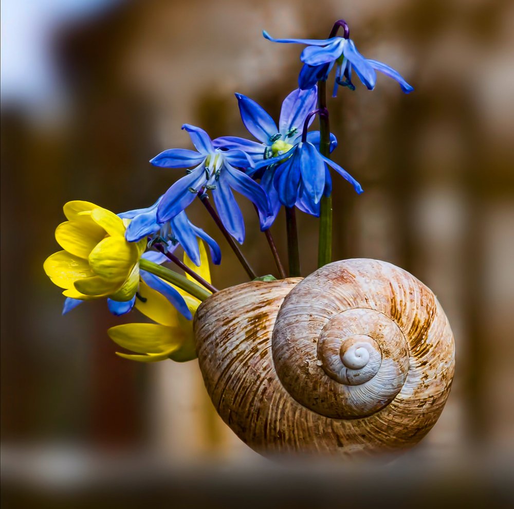 Photograph by Александр Викторович