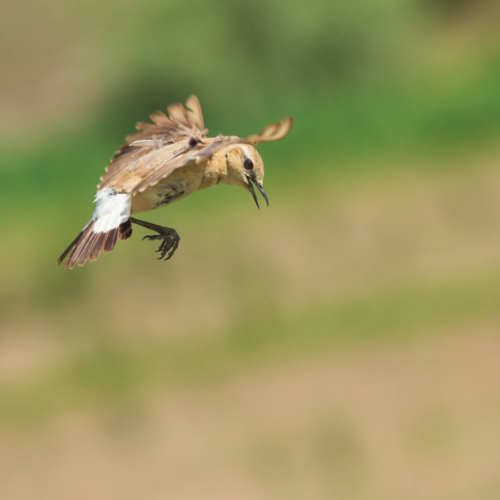 Photograph by Simona Grigorescu