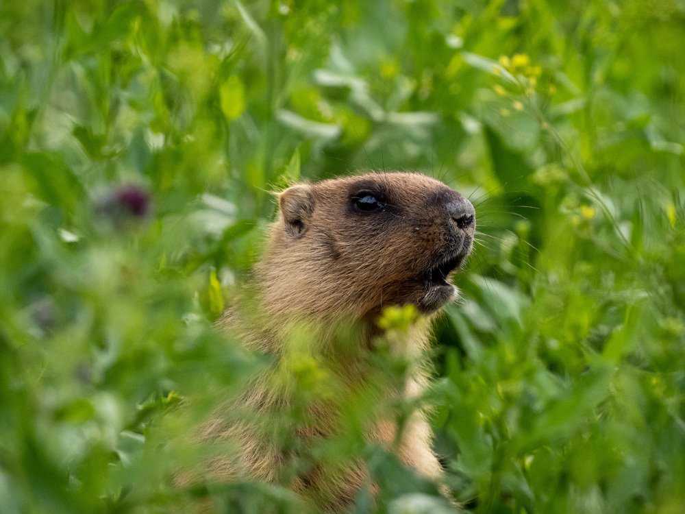 Photograph by Николай Иванов