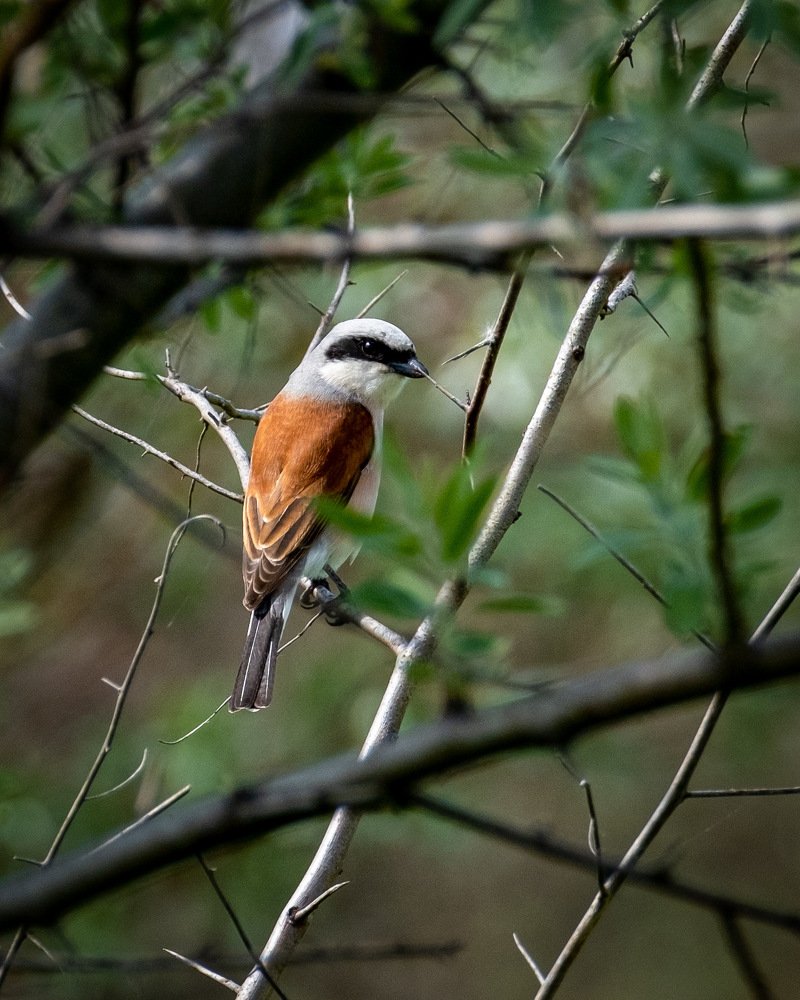 Photograph by Николай Иванов