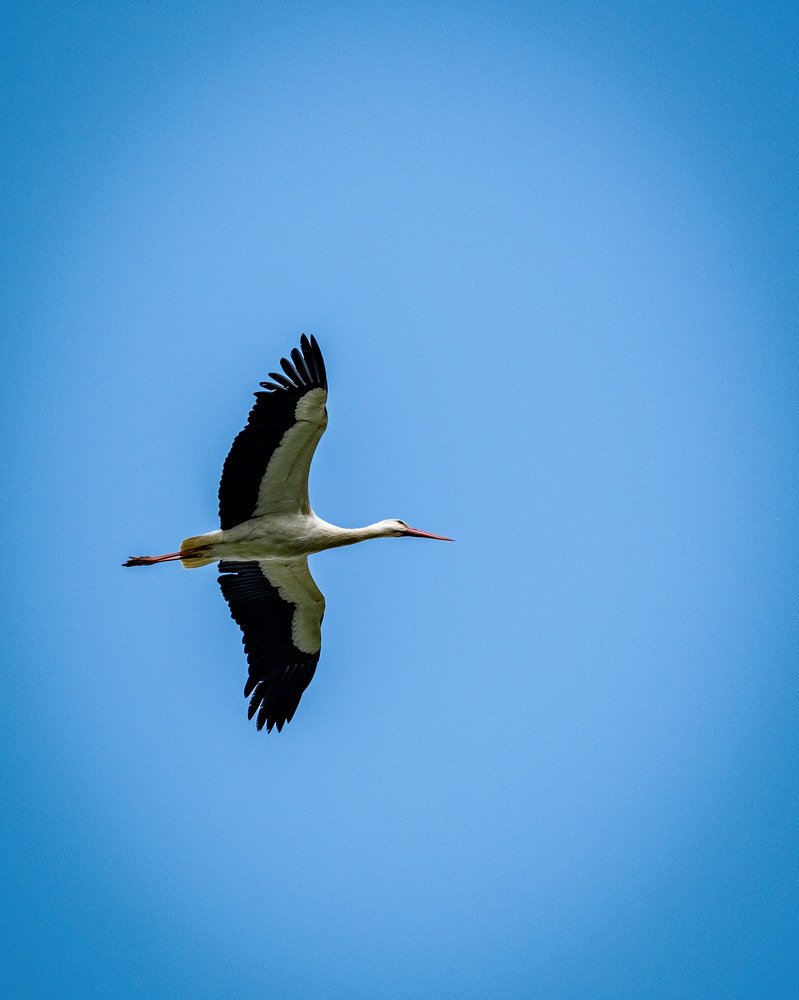 Photograph by Николай Иванов