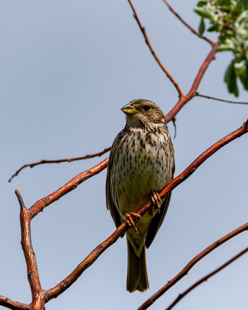Photograph by Николай Иванов