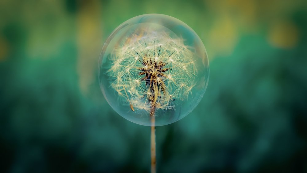 Photograph by Шаген Назарян