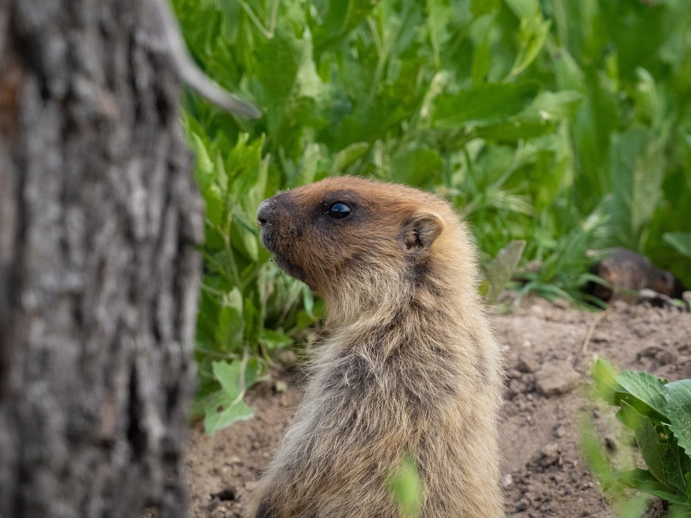 Photograph by Николай Иванов