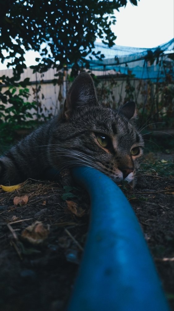 Photograph by Twizz Twizz