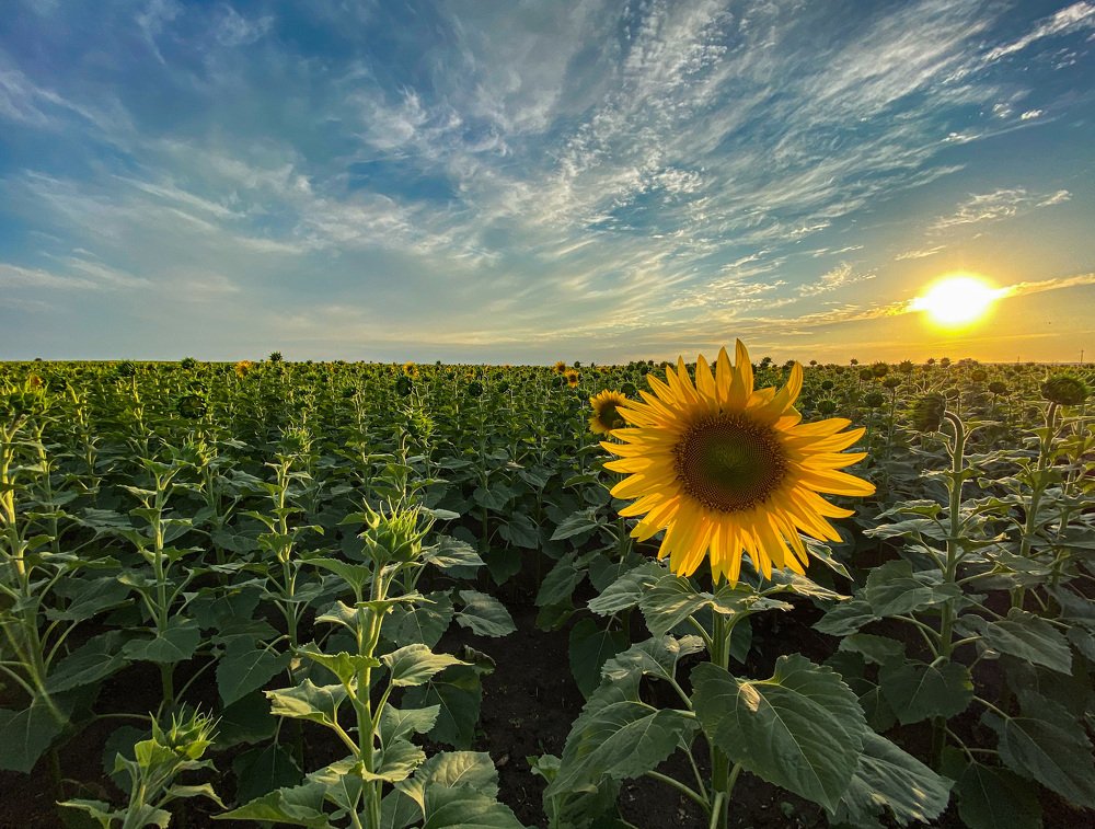 Photograph by Николай Иванов