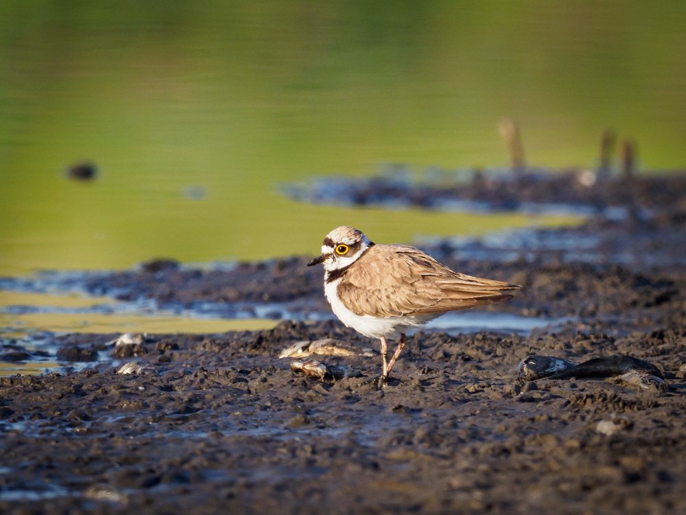 Photograph by Николай Иванов