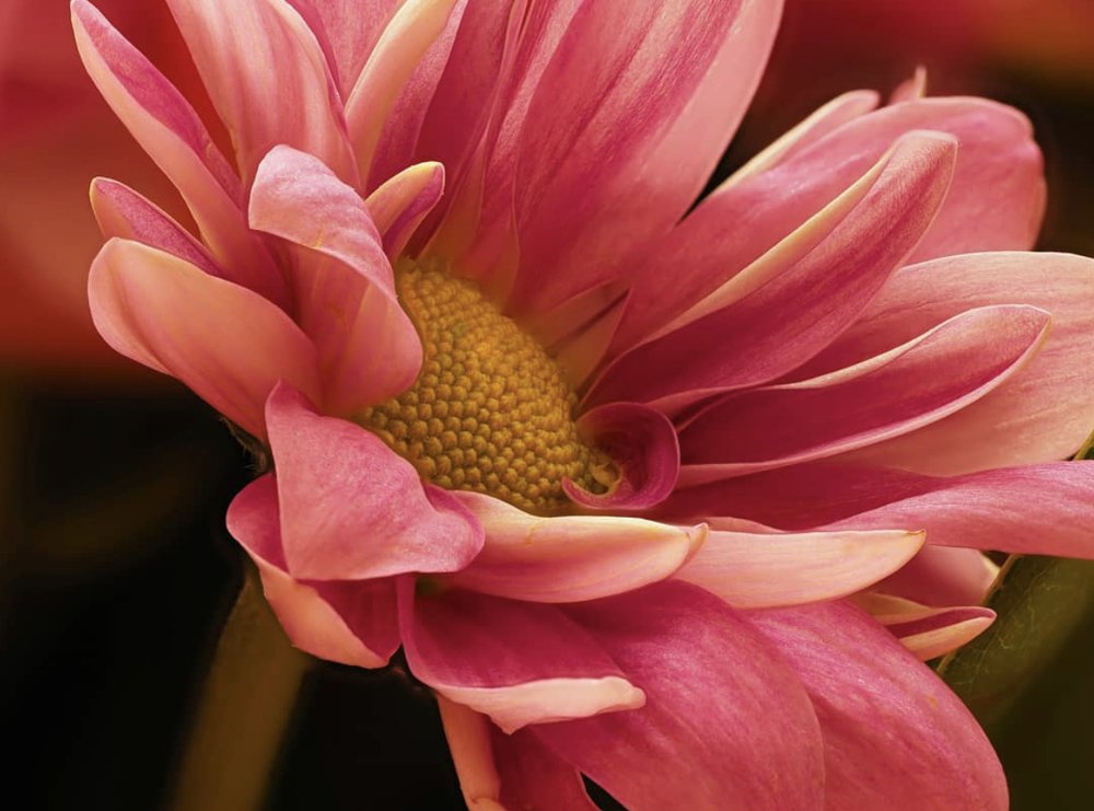 Photograph by Николай Иванов