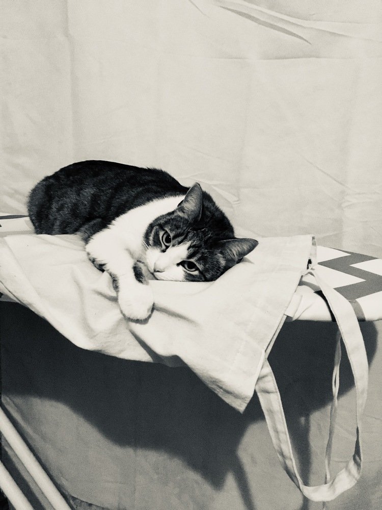 Photograph by Katalina