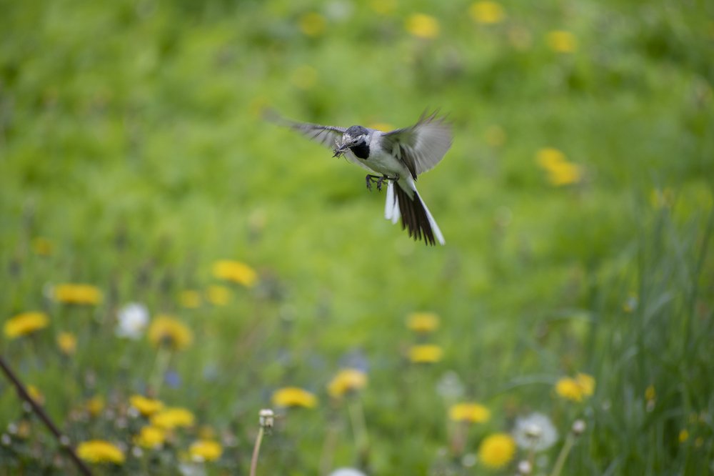 Photograph by Tatiana Zuikova