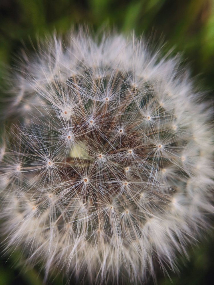 Photograph by Алексей и Юлия Дарьины