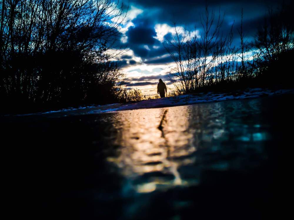 Дорога домой