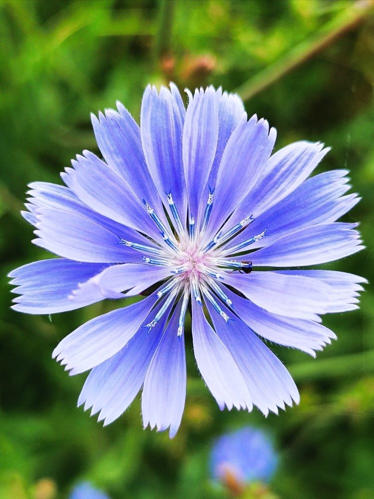 Красота до штриха