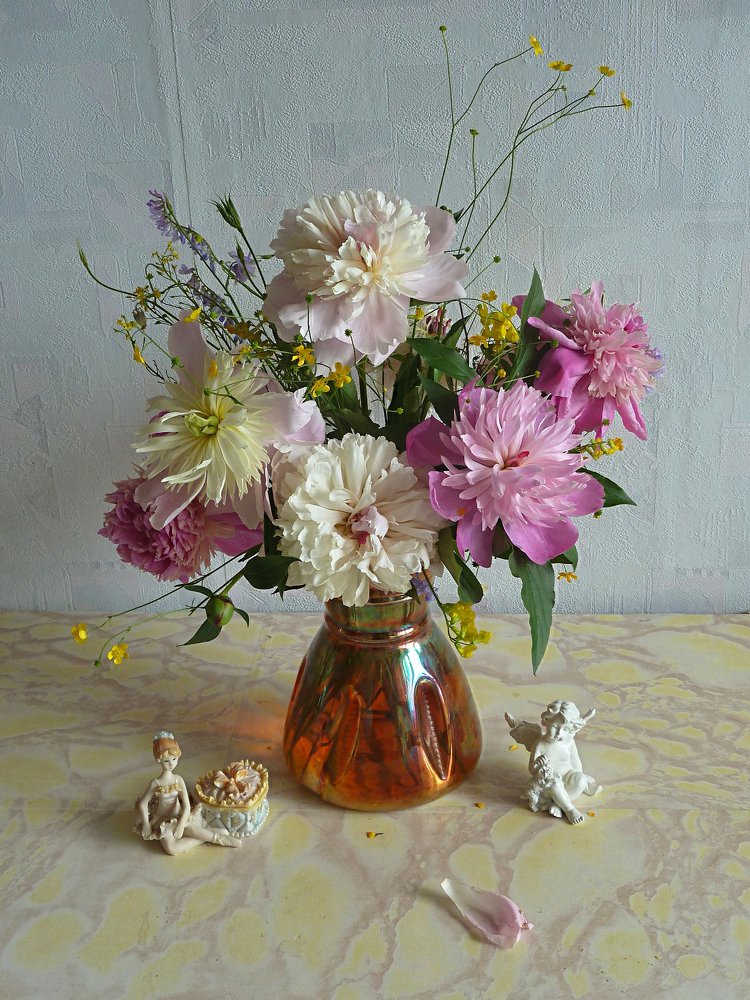 Фотография автора Клавдия Васильева