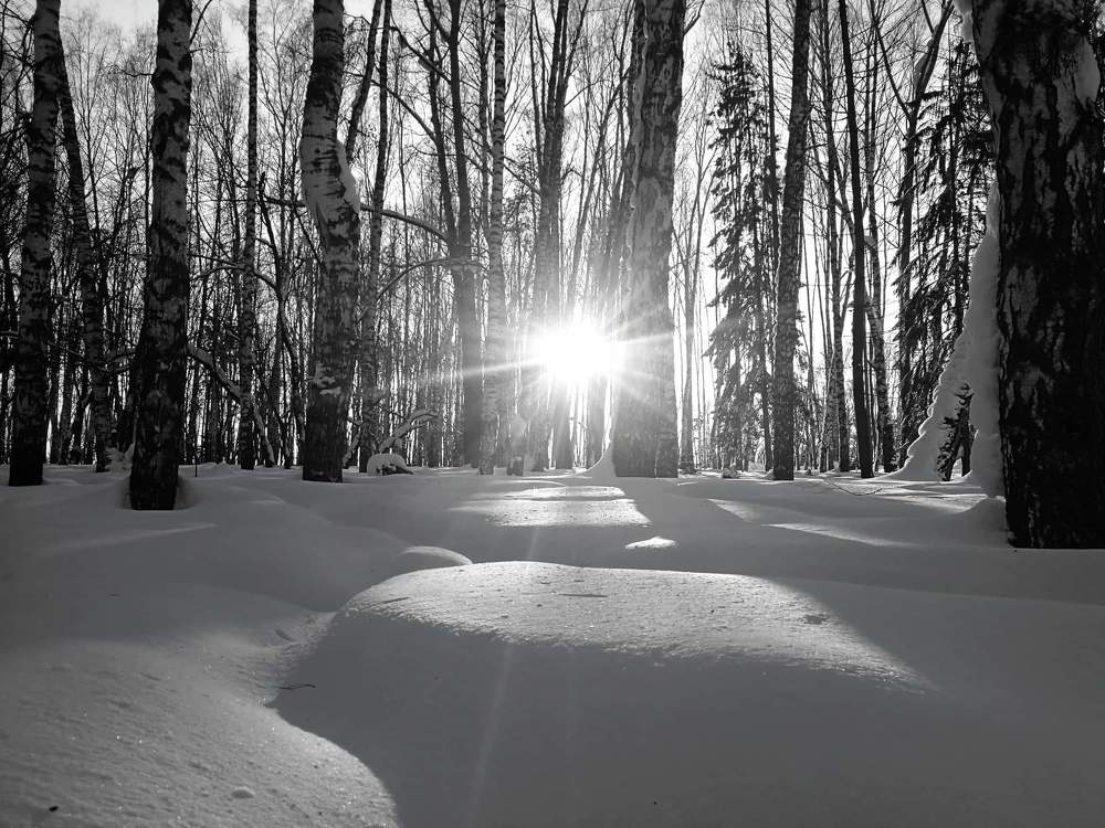 Настоящая зима