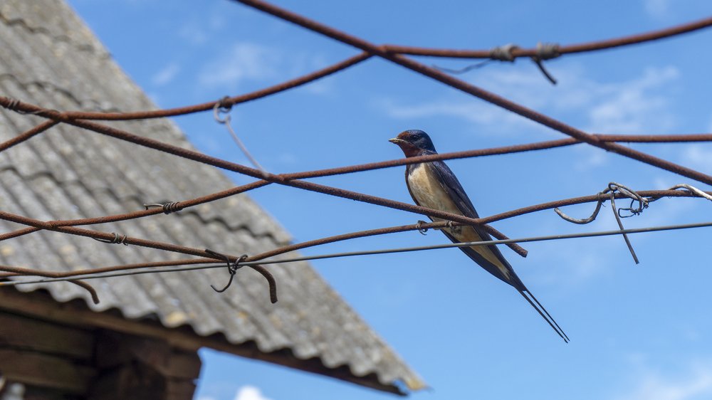 Photograph by Andreas Koff