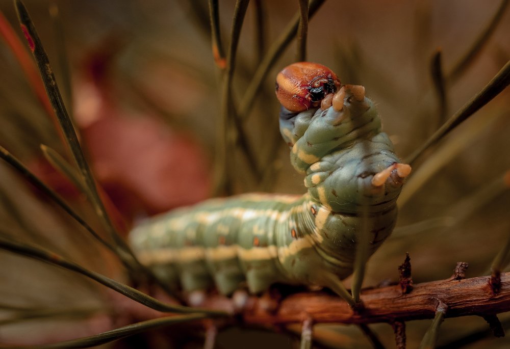 Photograph by Владимир Головин