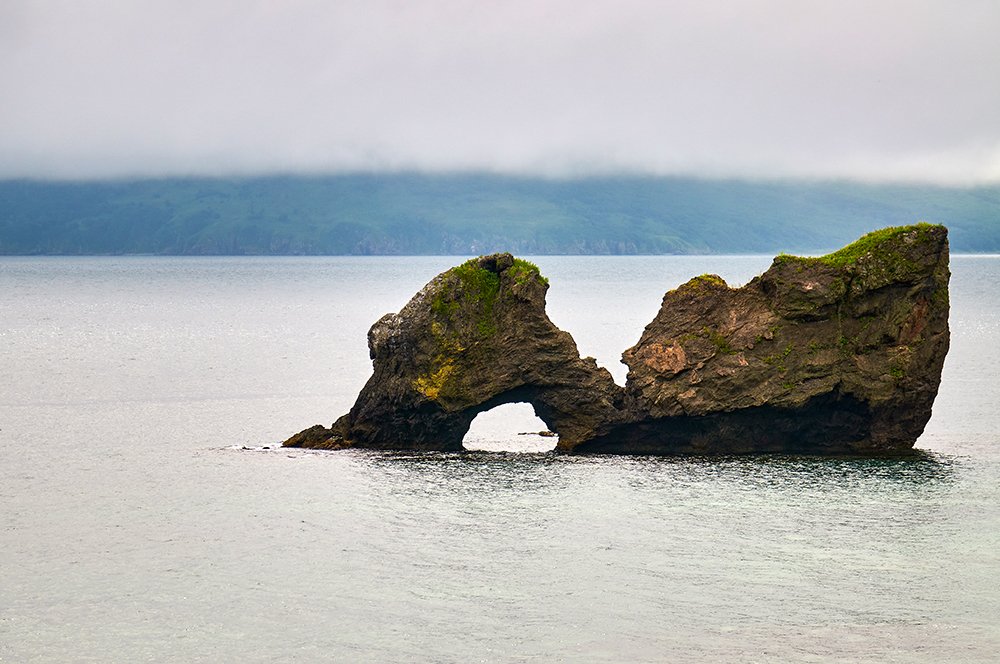 "Пьющая утка"