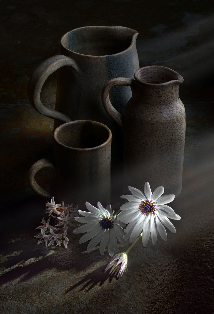 Photograph by Eduardo Modolo