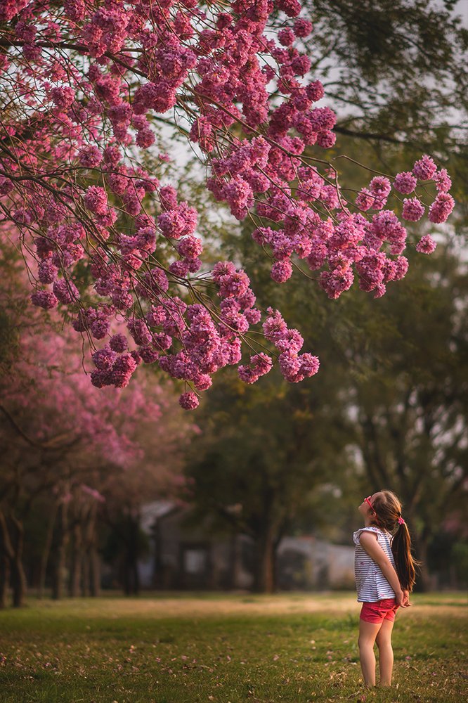 Photograph by Antonela D. Roschini Ottinger