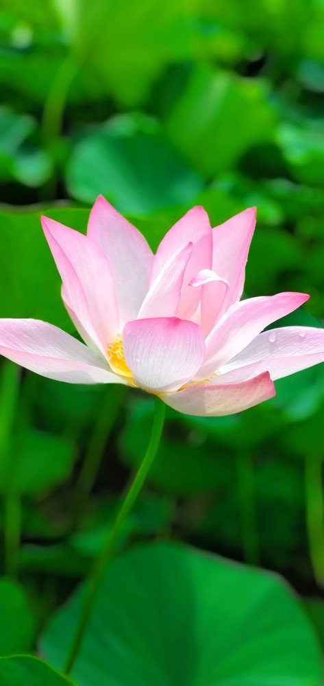 Beauty of nature