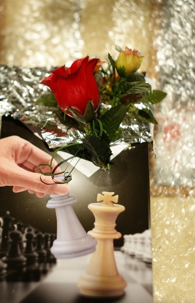 Photograph by Евгений Бригиневич - Снежин