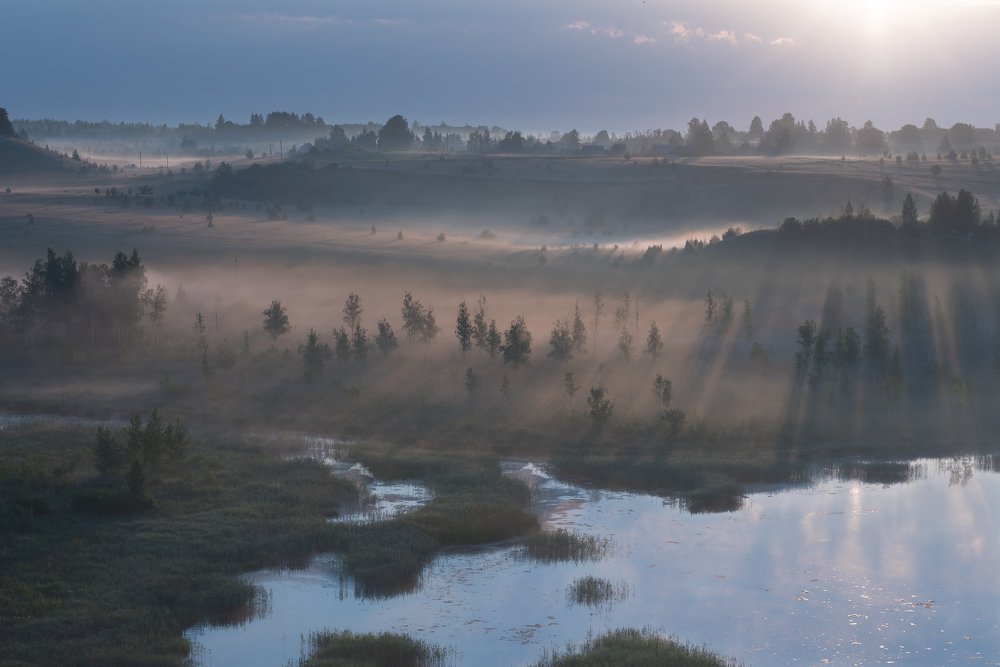 Photograph by Роман Фабричный